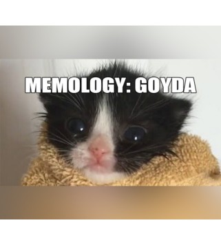 MEMOLOGY: GOYDA Steam Key EUROPE